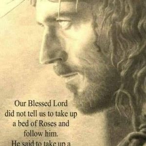 Meet your Posher, Joey